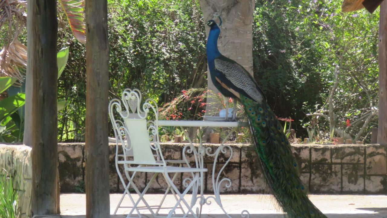 Dwaleni Farm Lodge Matsapha Ngoại thất bức ảnh
